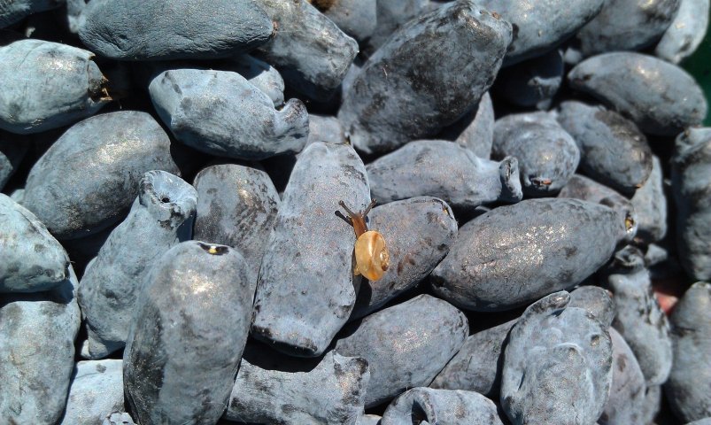 Тематическое фото pxhere.com (18+)