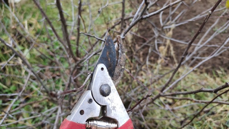 Обрезка Автора