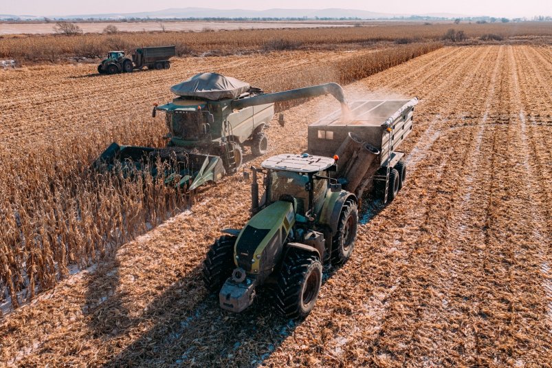 Уборка урожая Мария Смитюк, ИА PrimaMedia.ru