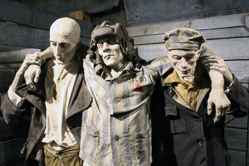 Концлагерь Анастасия Кошкина