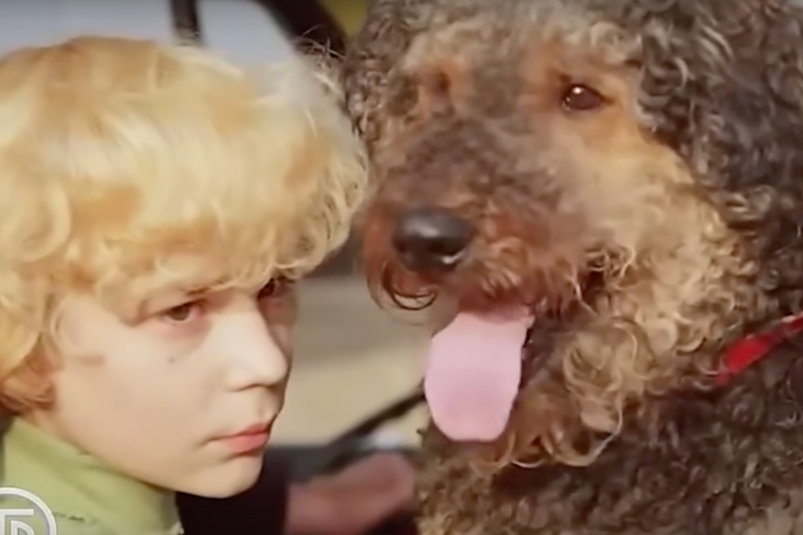 Какие 6 пород собак обожали в СССР, а теперь их никто не заводит кадр из фильма "Приключения Электроника" (0+)