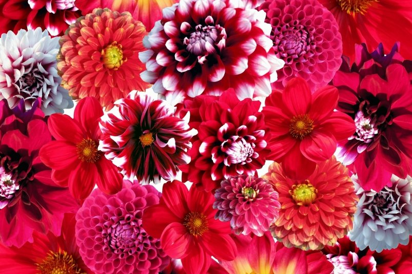 Тематическое фото pxhere.com (18+)