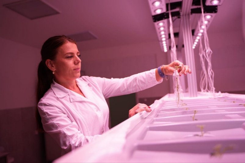 Новую систему поддержки аграриев с помощью научных проектов в АПК запустят в Приангарье Пресс-служба правительства Приангарья