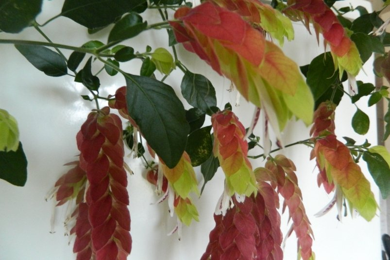 Тематическое фото Автор канала