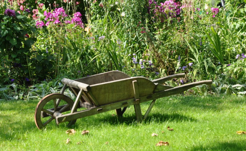 Тематическое фото pxhere.com