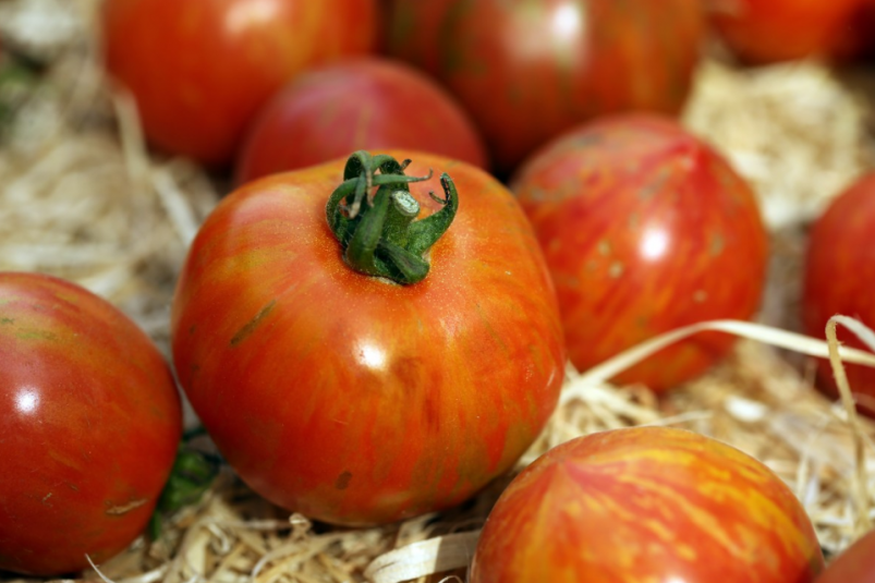 Тематическое фото pxhere.com