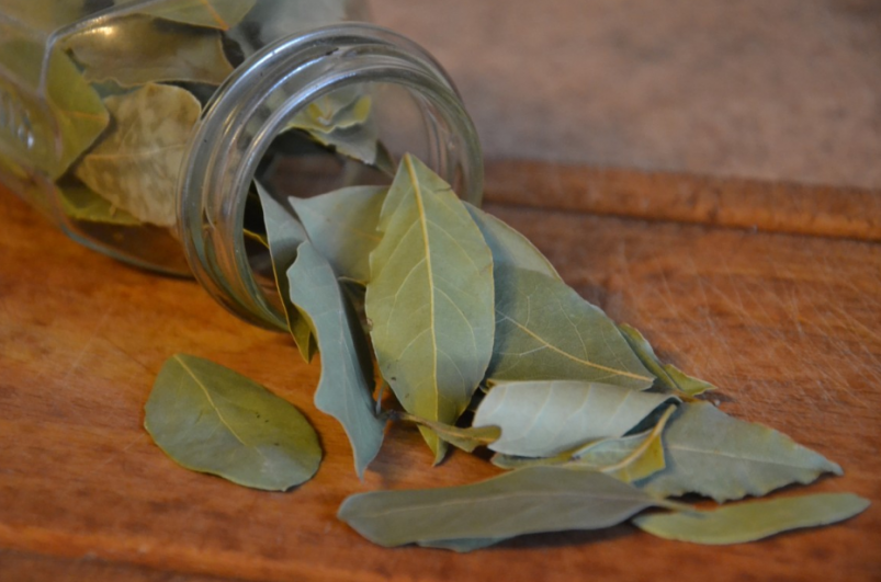 Тематическое фото pxhere.com