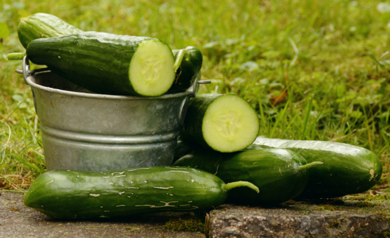 Тематическое фото pxhere.com