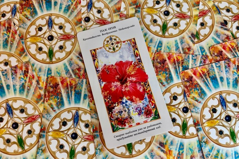 Тематическое фото Ольга Курилкина, ИА PrimaMedia