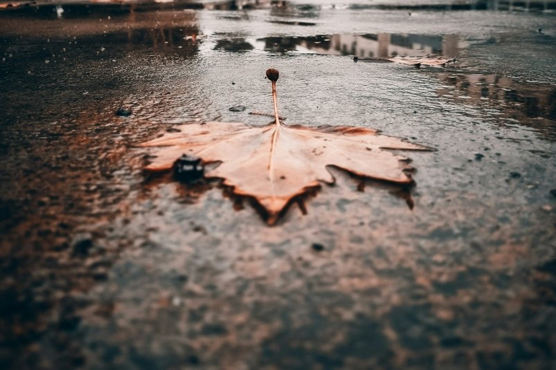 Тематическое фото unsplash.com