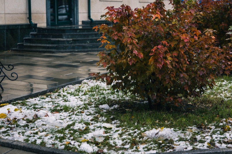 Тематическое фото Владислав Беляцкий, ИА SakhalinMedia