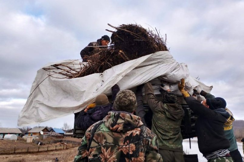 Субботник Минприроды Забайкалья