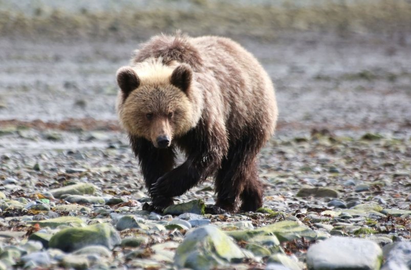 Тематическое фото Чёрный Игорь, MagadanMedia.ru