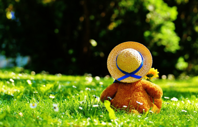 Тематическое фото pxhere.com