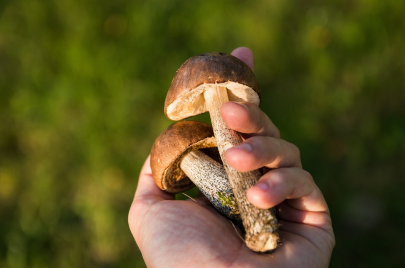 Тематическое фото pxhere.com