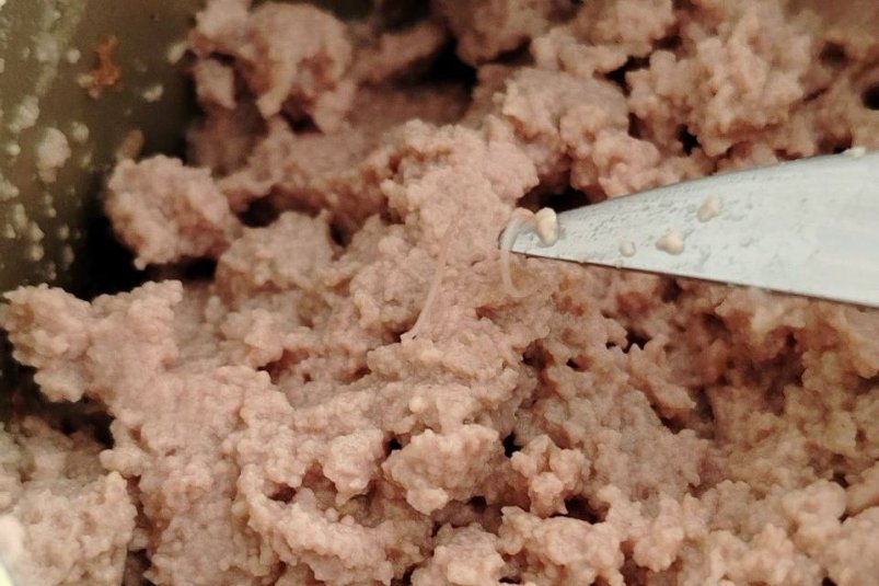 Тематическое фото Анонимный канал Шариповой