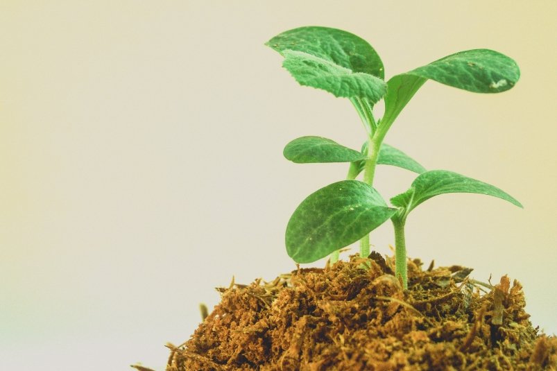 Тематическое фото pxhere.com (18+)