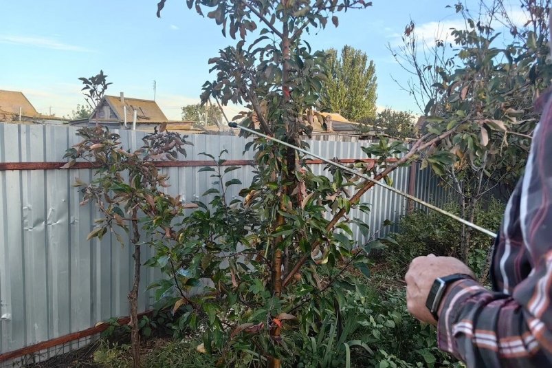 Тематическое фото Автор канала