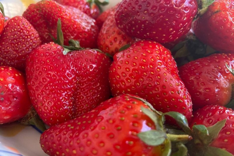 В ноябре клубнике - обязательно: 200 г под куст - и урожая в 2 раза больше, ягоды сладкие и крупные фото автора