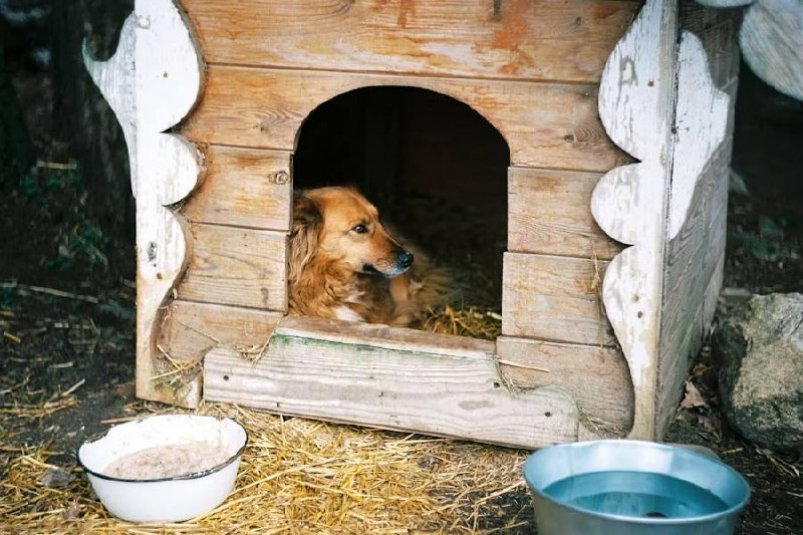 Тематическое фото unsplash.com