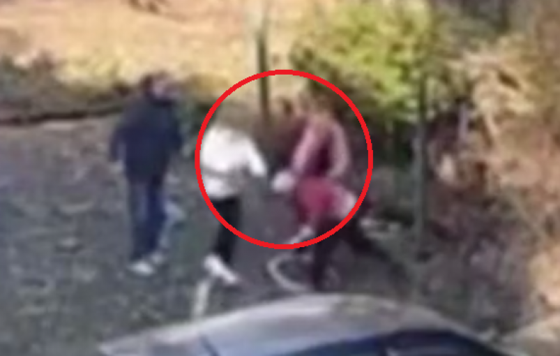 Скриншот тг-канал &quotchp_primkray" (18+)