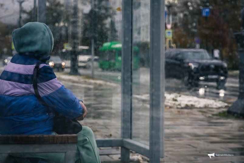 Тематическая фото Владислав Беляцкий, ИА SakhalinMedia