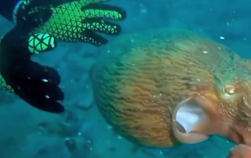 Скриншот тг-канал &quottrubolys" (18+)