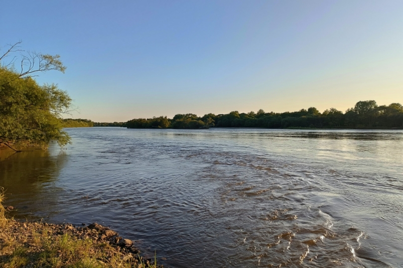 Что погубило рыбака в тайге Рукомеда Е. М., ИА EAOMedia