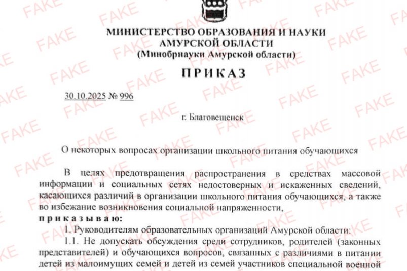 Амурчан просят доверять только официальным источникам соцсети