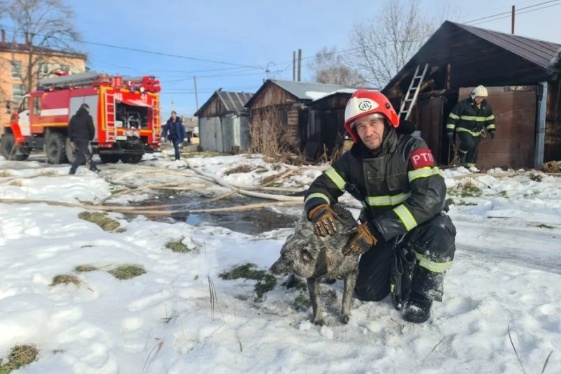 Спасение собаки на пожаре в Тымовском пресс-служба пожарно-спасательной службы Сахалинской области
