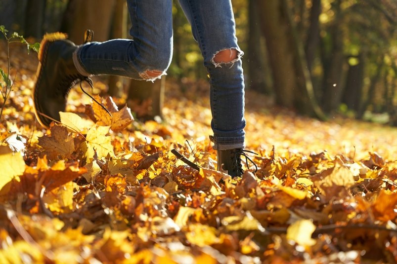 Тематическое фото unsplash.com