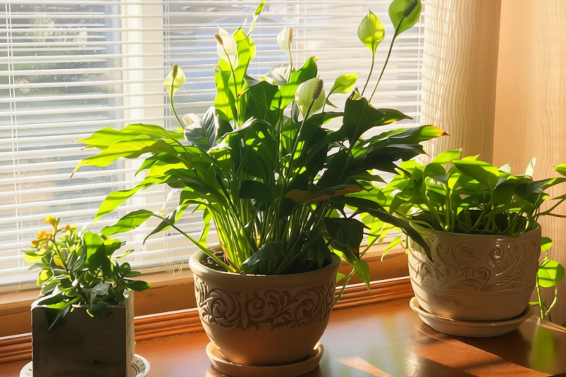 Тематическое фото Unsplash.com (18+)