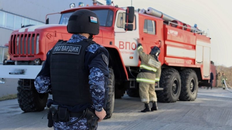 МЧС и Росгвардия провели совместные учения пресс-служба МЧС России по Камчатскому краю