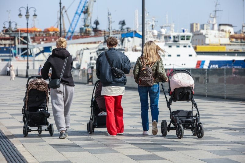 Тематическое фото Дмитрий Осипчук, ИА PrimaMedia.ru