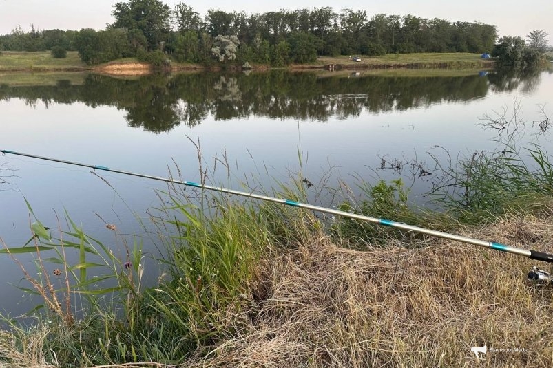 Секрет ноябрьской рыбалки: на эту снасть клюёт крупный судак - даже живец пасует ИА Stavropol.Media