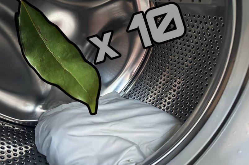 10 листочков в барабан - и осенние вещи не воняют, а цвет как в момент покупки ИА Stavropol.Media