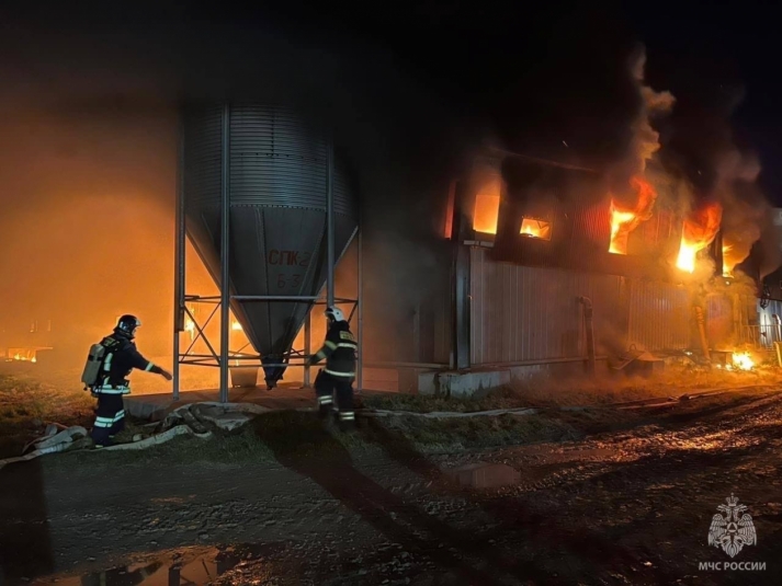 В загоревшемся на Сахалине свинокомлексе находятся около 300 свиных голов пресс-служба МЧС России по Сахалинской области