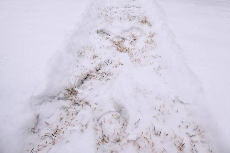 Тематическое фото unsplash.com