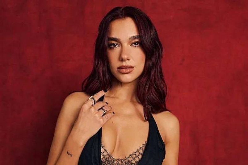 Дуа Липа Соцсети знаменитостей