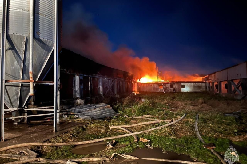 Пожар в свинокомплексе "Мерси Агро Сахалин" пресс-служба ГУ МЧС России по Сахалинской области
