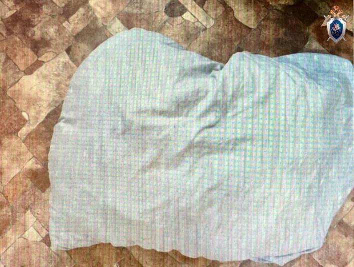 Житель Саянска задушил сожительницу подушкой во время ссоры Пресс-служба СУ СКР по Иркутской области