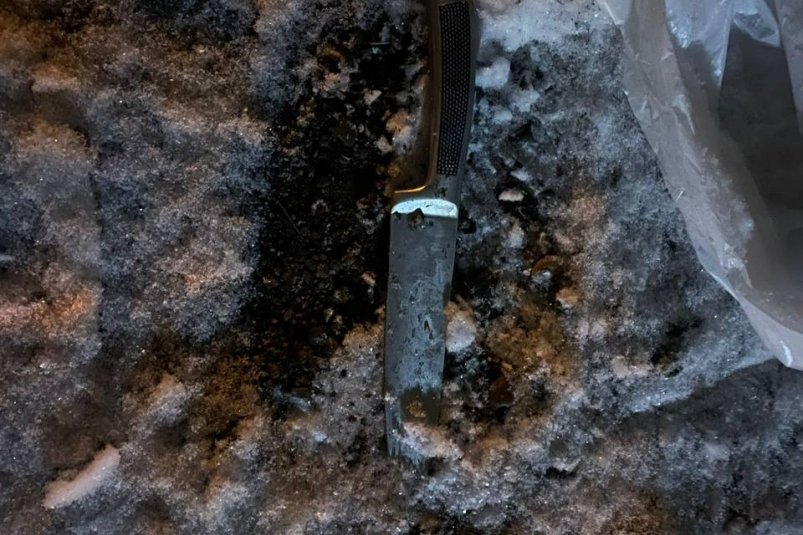 . пресс-служба ГСУ СК России по Красноярскому краю и Республике Хакасия