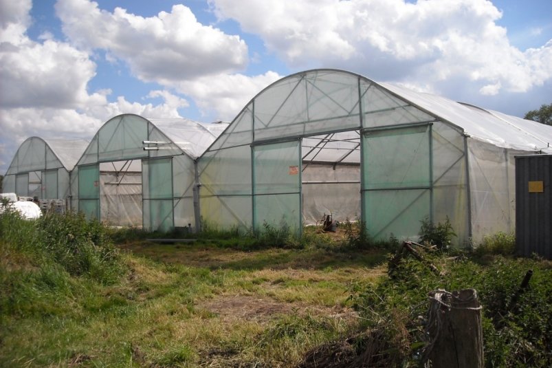 Тематическое фото Pxhere.com