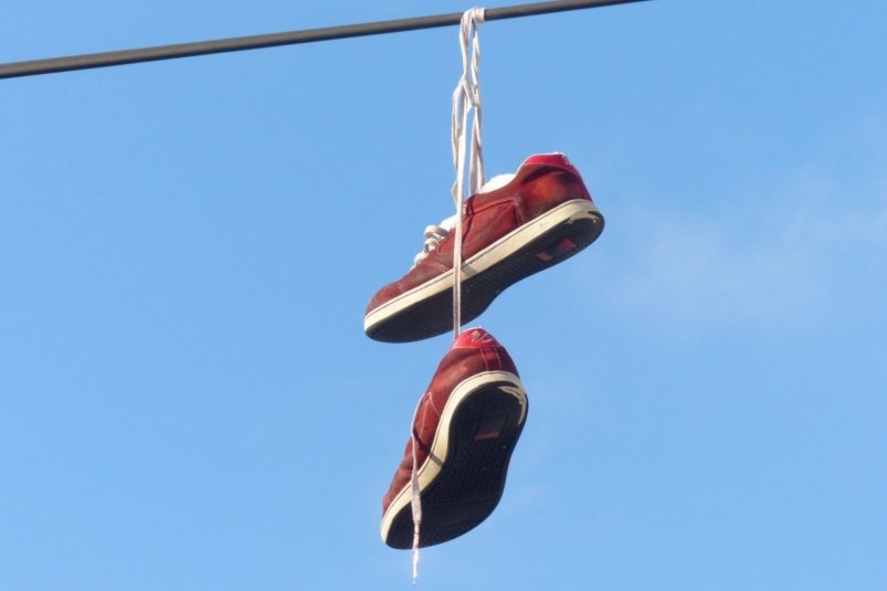 Тематическое фото pxhere.com