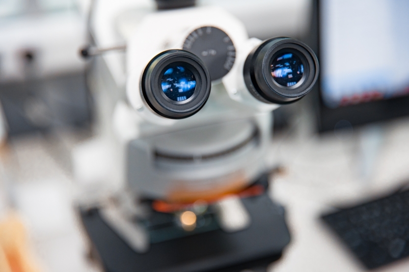 Тематическое фото ИА PrimaMedia