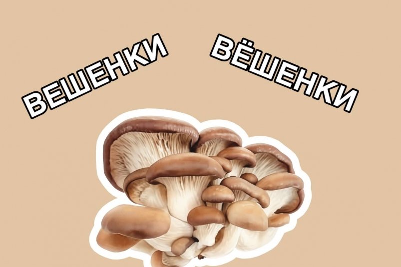 В этих двух словах 90% путают Е и Ё - красные флажки безграмотности ИА Stavropol.Media