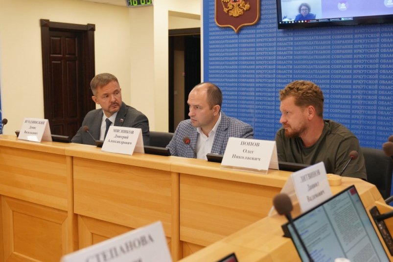 Вопросы мер соцподдержки и образования рассмотрели на профильном комитете ЗС Приангарья Мария Иванова