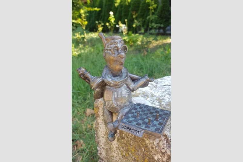 Пчелка-шахматист Соцсети краеведа Иван Коваленко