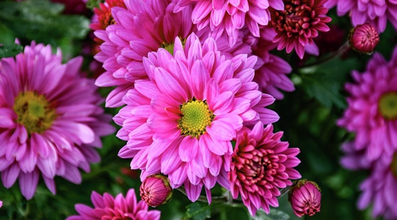 Тематическое фото Турпортал Крыма, Светлана Мальцева