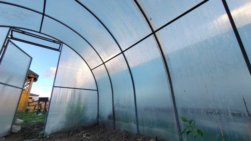 Теплица Автора